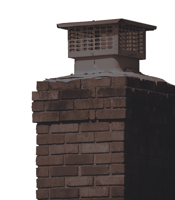 Image of chimney restoration repair, damaged by wildlife pests.